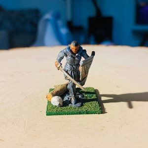 Female Hobgoblin Miniature Hand Painted for Dungeons & Dragons