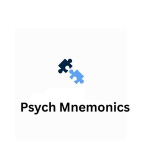 May include: White background with two puzzle pieces, one dark blue and one light blue, slightly overlapping. Below the puzzle pieces is the text "Psych Mnemonics" in black.