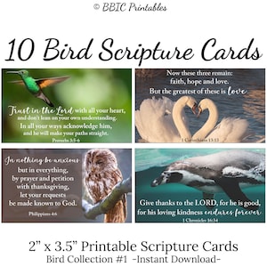 10 cartões de escrituras para impressão de pássaros -# C1- DOWNLOAD INSTANTÂNEO, pássaros variados, águia, cisne, papagaio, coruja, incentivando mini cartões de versículos da Bíblia para impressão