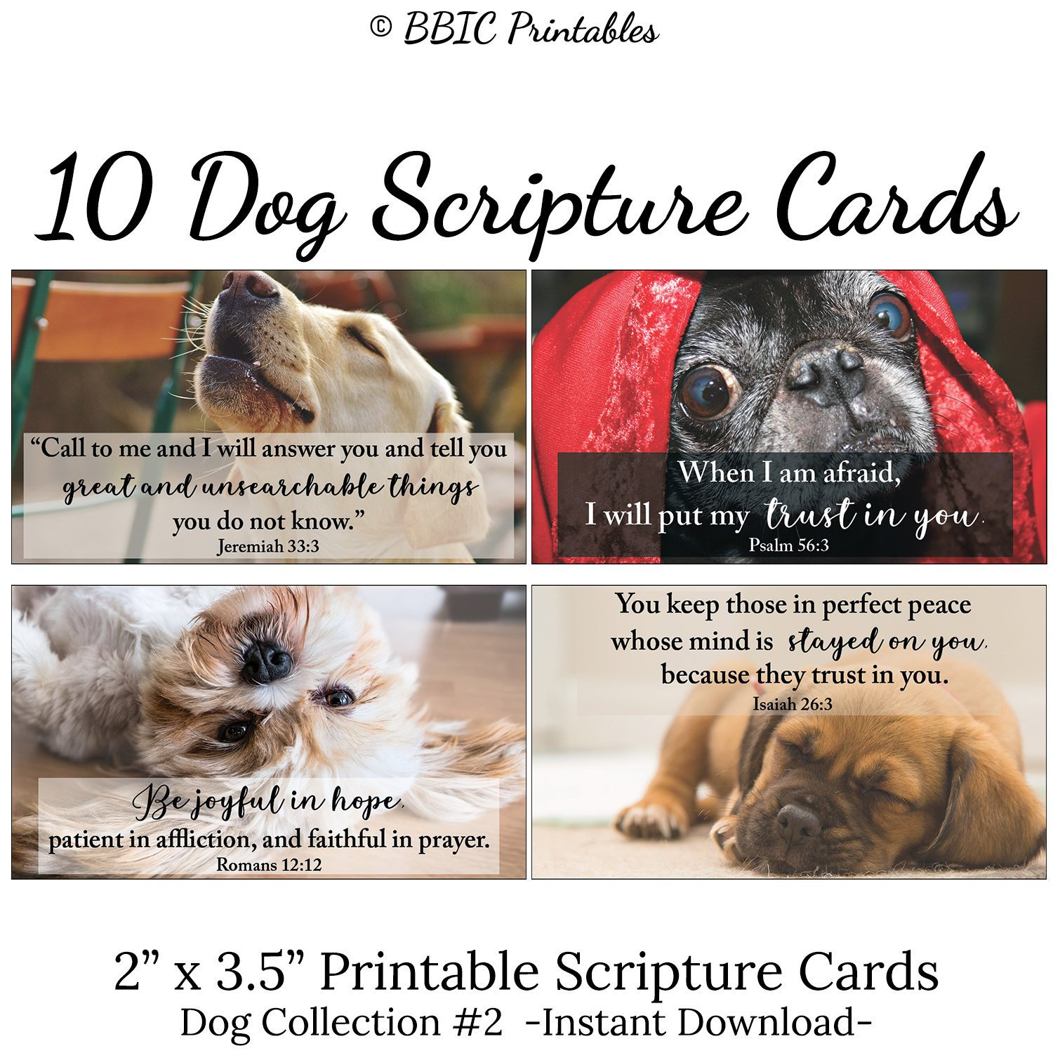 10 Dog Printable Scripture Cards C2 INSTANT DOWNLOAD, Cute Dog Puppy