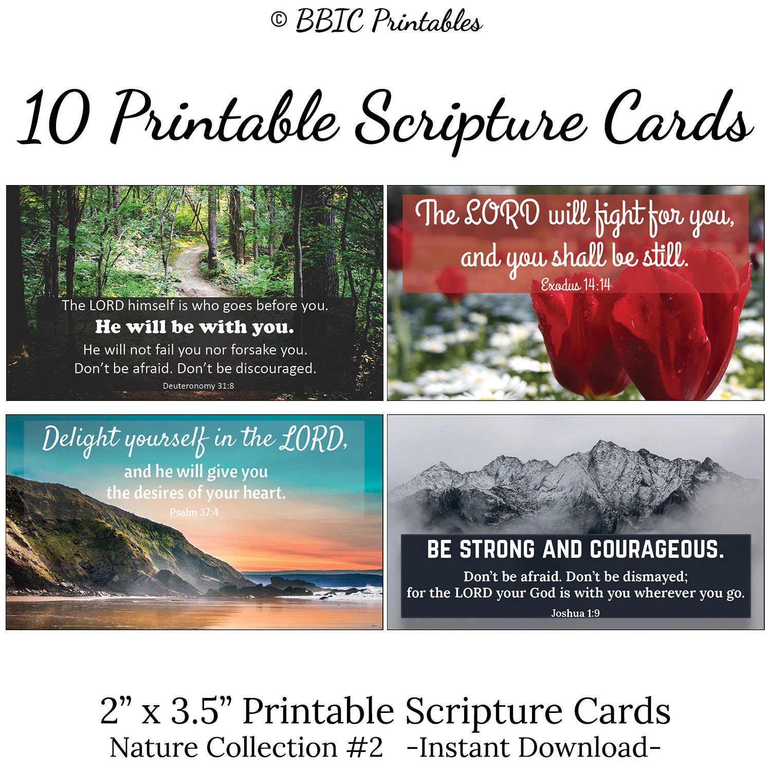 10 Mini Nature Printable Scripture Cards nature Collection 2 INSTANT ...