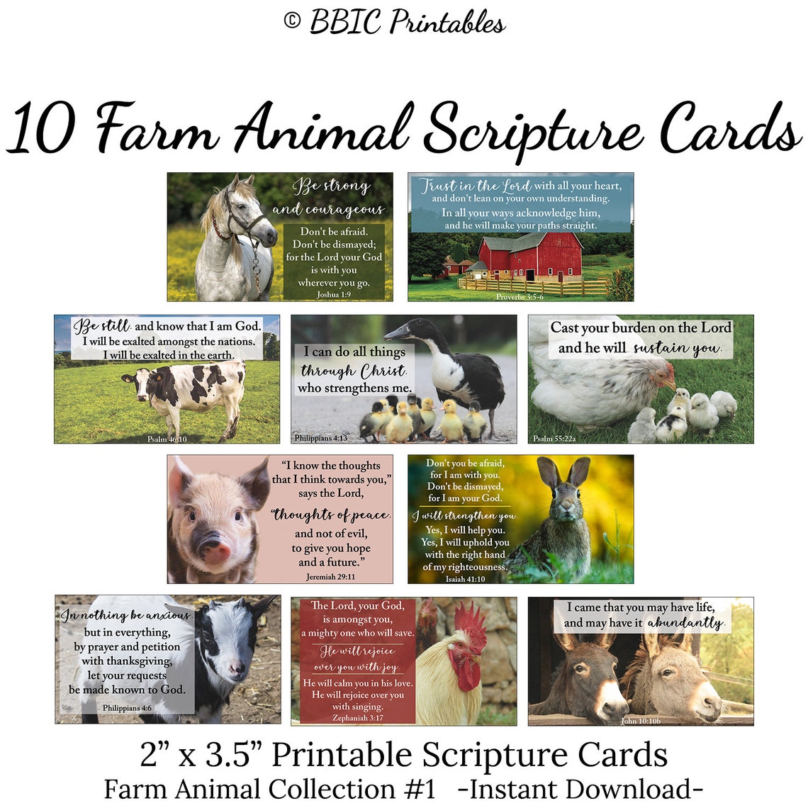 10 Farm Animal Printable Scripture Cards -C1- INSTANT DOWNLOAD, Farm ...