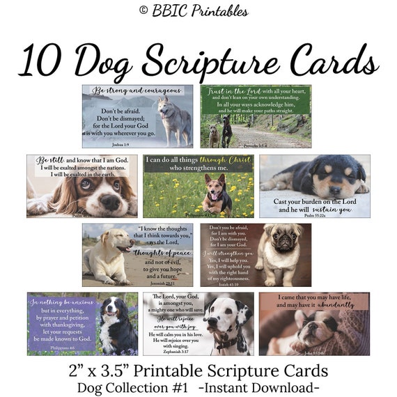 Who Are Dogs In The Bible