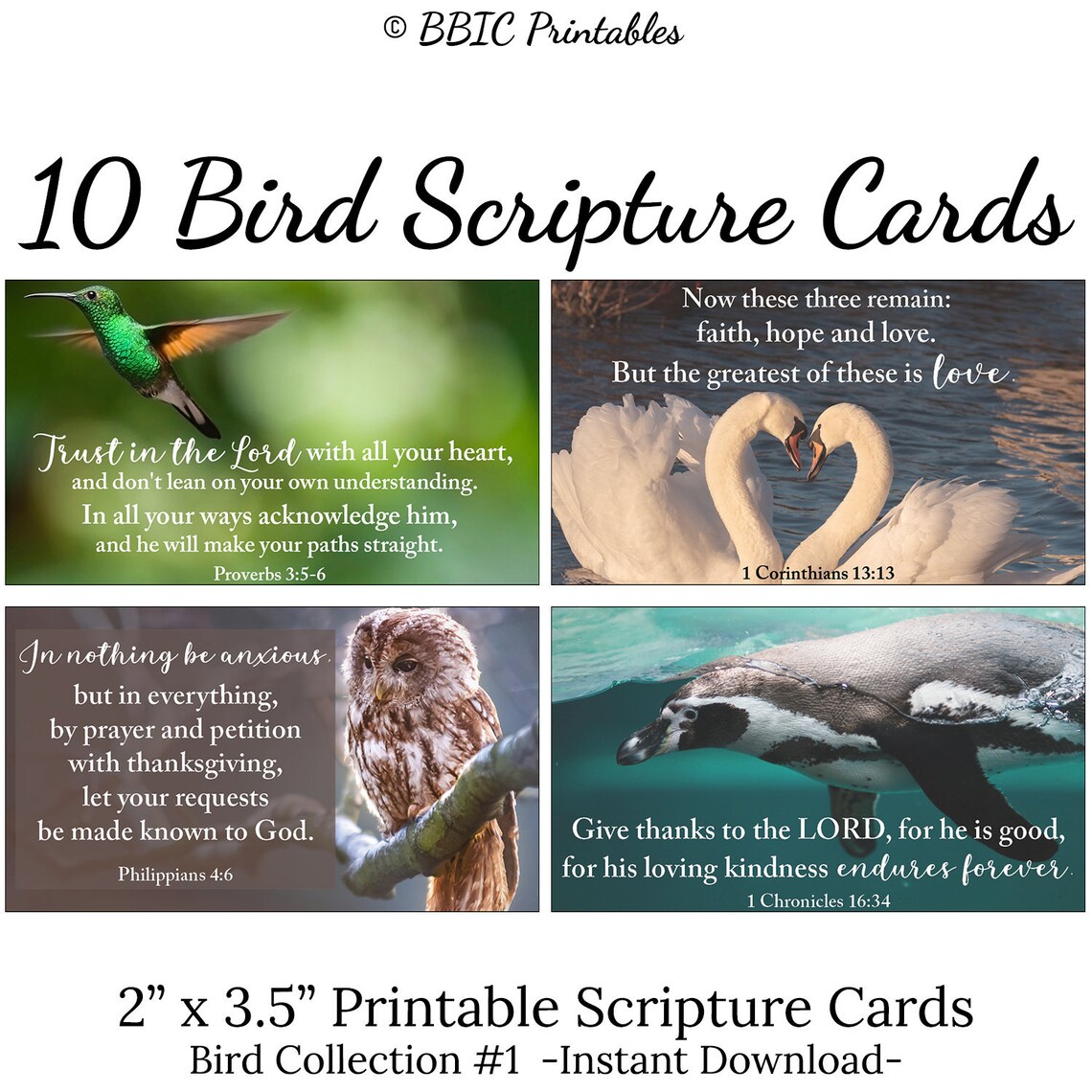 10 Bird Printable Scripture Cards -#C1- INSTANT DOWNLOAD, Assorted Bird ...