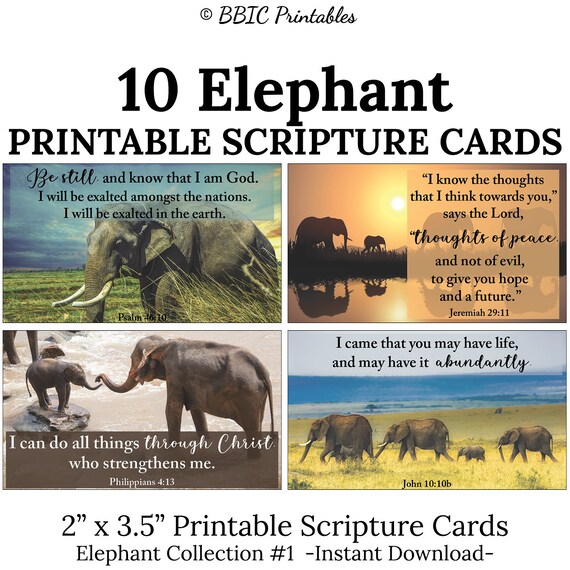 10 Elephant Printable Scripture Cards C1 Instant Download Etsy Singapore 10 Elephant Printable Scripture Cards C1 Instant Download Etsy Singapore
