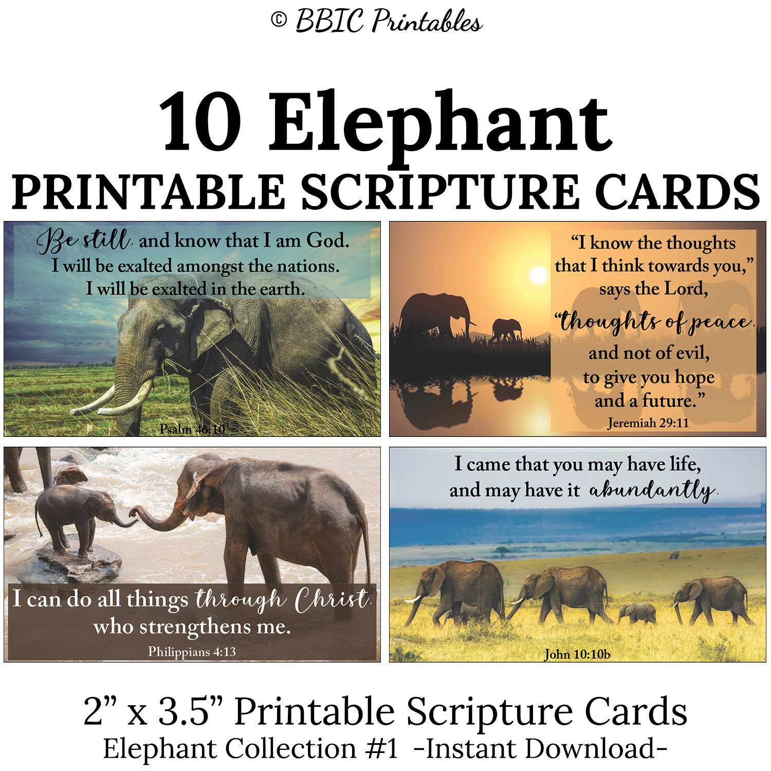 10 Elephant Printable Scripture Cards C1 INSTANT DOWNLOAD, Elephant