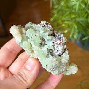 May include: A light green mineral specimen with a crystalline structure. The mineral has a cluster of rounded formations and is held in a hand. The background is blurred, showing a wooden surface and green plants.