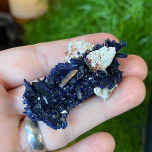 Beautiful bold blue azurite on matrix from Morocco! Classic!