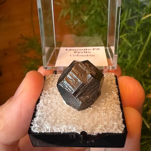 May include: A dark, metallic pyrite crystal, presented in a clear display case. The crystal is a deep, reflective black with geometric facets. The case includes a label that reads "Limonite PS Pyrite Colombia."