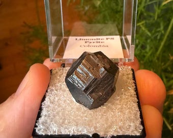 Neat “iron cross twin” of goethite after pyrite from Colombia!