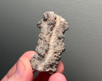Neat piece of “lightning sand” or fulgurite from the Sahara!