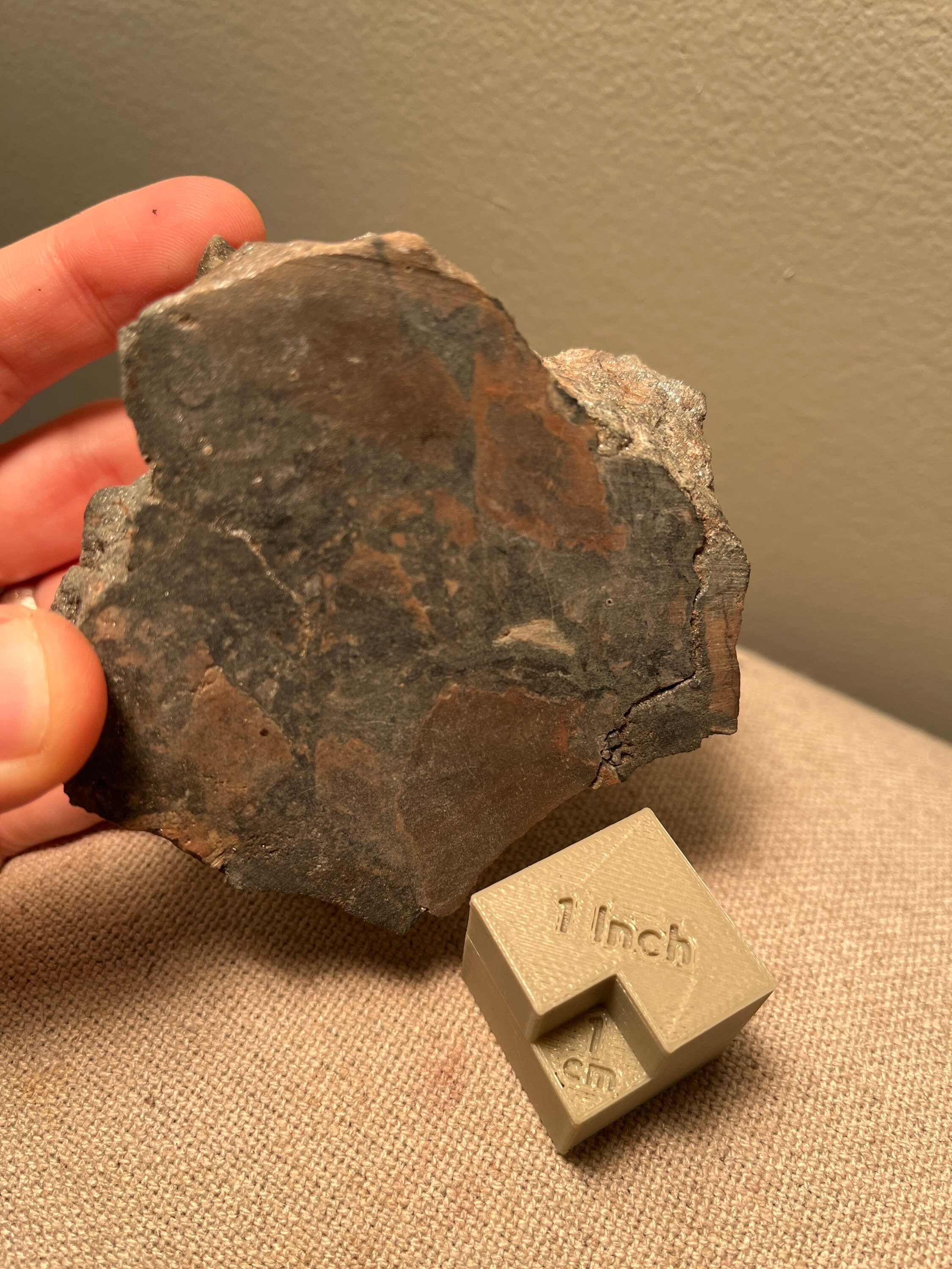 Diatreme Breccia From Deadhorse Diatreme in Ontario Canada Etsy