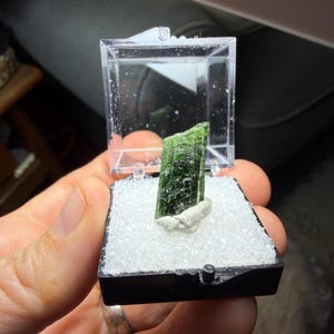 May include: A deep green, elongated tourmaline crystal specimen standing upright in a small, clear plastic display box. The crystal is secured at its base with a white adhesive putty and rests on a bed of white, granular material inside the container.
