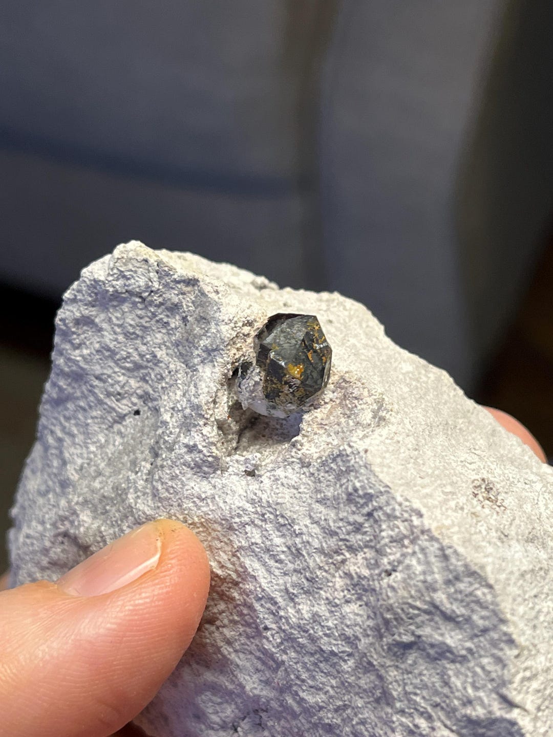 Almandine Garnet in Rhyolite Matrix From Ely, Nevada! - Etsy