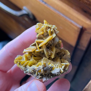 May include: A cluster of yellow-orange mineral crystals, possibly a type of gypsum or similar mineral, with a rough, textured appearance. The crystals are clustered together on a matrix of gray and brown rock. The mineral is held in a hand.