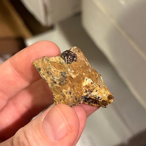 Interesting staurolite garnet schist from Connecticut!