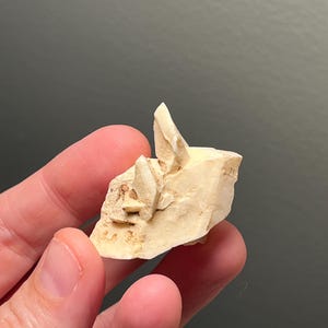May include: A small, off-white mineral specimen with multiple crystalline structures. The specimen has a rough, textured surface and a few sharp, pointed crystal formations. The color is a creamy beige, and the overall shape is irregular.
