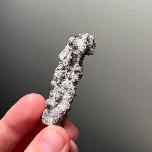 Neat piece of “lightning sand” or fulgurite from the Sahara!