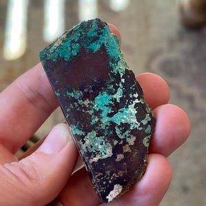 May include: A rough, irregular shaped piece of turquoise with a dark brown matrix. The turquoise is a vibrant blue-green color with a mottled pattern.