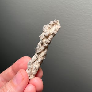 Neat piece of “lightning sand” or fulgurite from the Sahara!