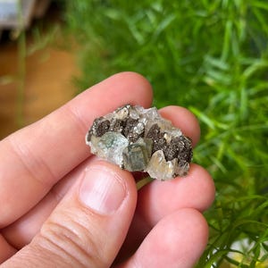 Charming combo specimen from Panasqueira, Portugal!