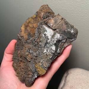 May include: A rough, dark gray rock with a silver, crystalline formation. The rock has a brown, textured surface and a few small, yellow spots.