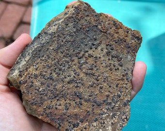 Neat goethite after pyrite on matrix from California!