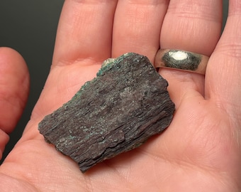 Special type of petrified wood w chalcocite/malachite replacement!