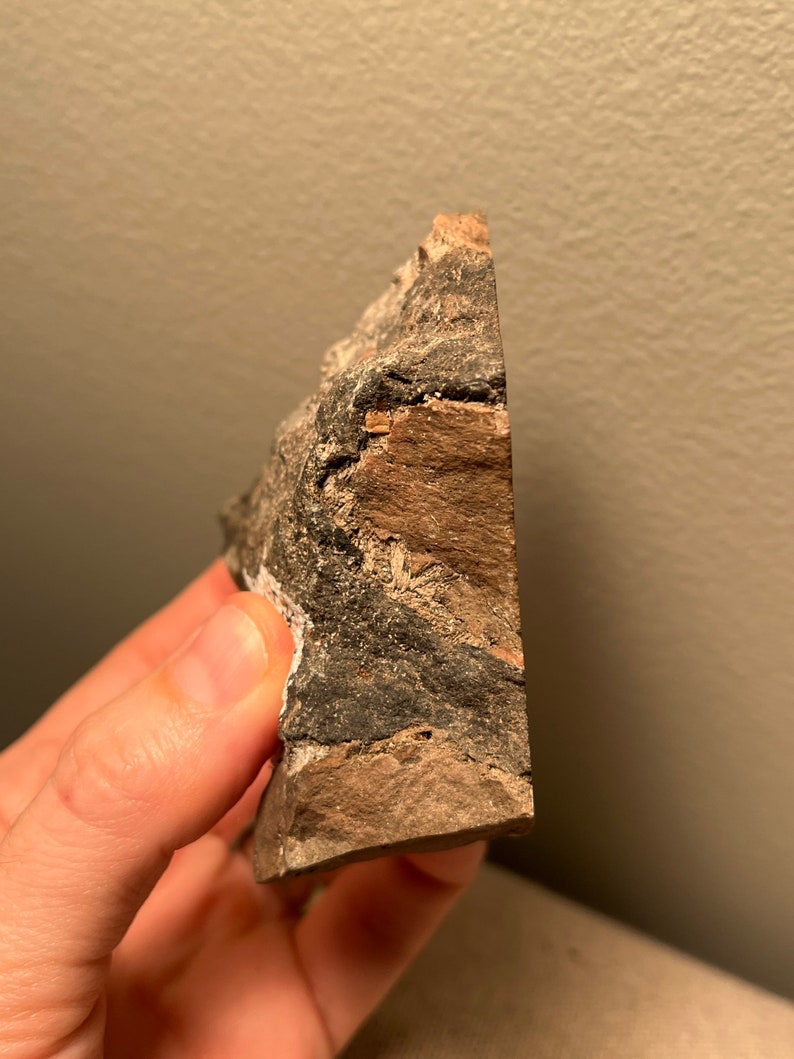 Diatreme Breccia From Deadhorse Diatreme in Ontario Canada Etsy