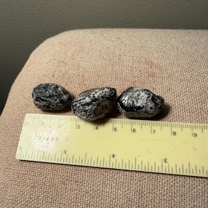 May include: Three small, irregular, polished black stones with white veining and textured surfaces are positioned above a yellow ruler. The ruler shows the stones range in size from approximately 0.5 inches to 1 inch in length.