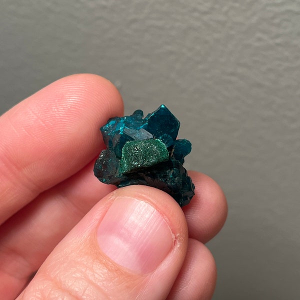 Lustrous dioptase from the Republic of Congo!