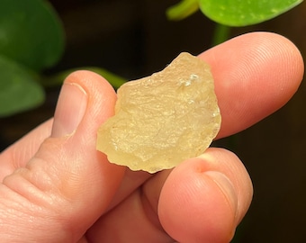 Libyan desert glass - natural glass formed from meteorite impact in Egypt!