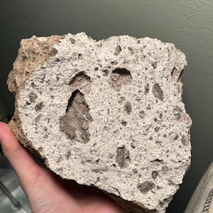 May include: A porous, light-colored rock with a rough texture. The rock has several holes and pockets, with some areas showing a darker, layered interior. The overall color is a mix of beige and gray, with some brown hues.