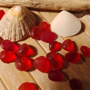 May include: Red sea glass pieces, two seashells, and a piece of driftwood arranged on a bamboo surface. The sea glass is smooth and rounded. The seashells are white and beige. The bamboo surface has a natural, light brown colour.