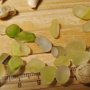 May include: A collection of sea glass in various shades of green and white, some with a frosted finish, arranged on a wooden surface with a ruler for scale.