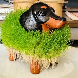 Puppy Planter Ceramic Hound Dog Handmade Grow Your Own Pet with Grass Arugula Seeds Fun Animal Lover Friend Novelty Gift Idea Kids Present