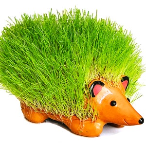 Hedgehog Planter Ceramic Handmade Cute Pottery Grow with different seeds Grass Arugula Chia Gift Idea Green Animal Bestseller Kid's Pet