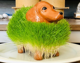 Puppy Planter Ceramic Hound Dog Handmade Grow Your Own Pet with Grass Arugula Seeds Fun Animal Lover Friend Novelty Gift Idea Kids Present