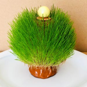 Könnte beinhalten: Eine runde Anordnung aus leuchtend grünem Gras in einem braunen Keramiktopf. Oben auf dem Gras sitzt eine kleine, hellgelbe Kugel. Der Topf hat ein strukturiertes, gedrehtes Design. Die Anordnung befindet sich auf einer weißen Oberfläche.
