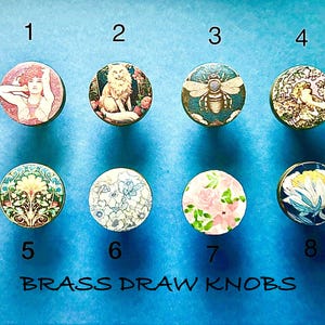 May include: Eight brass drawer knobs with various vintage-inspired designs. The knobs feature images of a woman, a fox, a bee, a floral pattern, a flower, and a lotus flower.