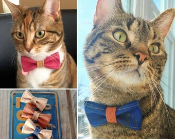 Cork bow tie for cat or small dog