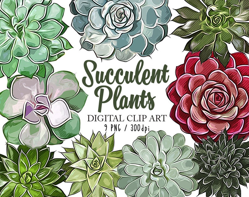 Succulent Plants Clipart Set Succulents Wedding Invitation | Etsy