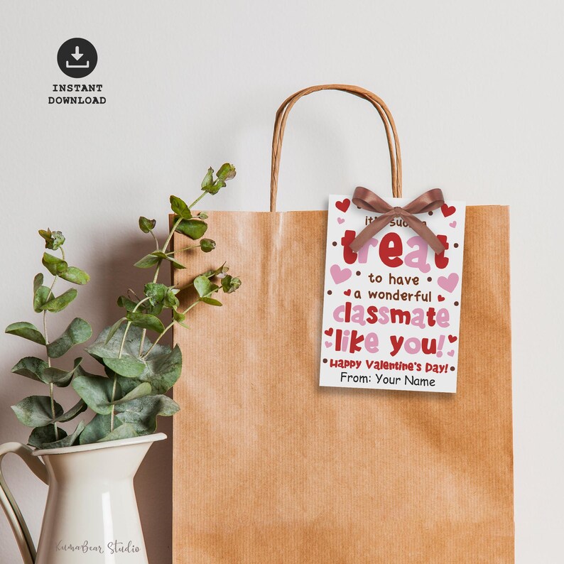 Editable Valentines Day Gift Tags, Classmate Valentine Treat Tags ...