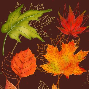Könnte beinhalten: Eine Sammlung von Herbstblättern in verschiedenen Schattierungen von Rot, Orange, Gelb und Grün. Die Blätter sind in einem zufälligen Muster auf einem braunen Hintergrund angeordnet.