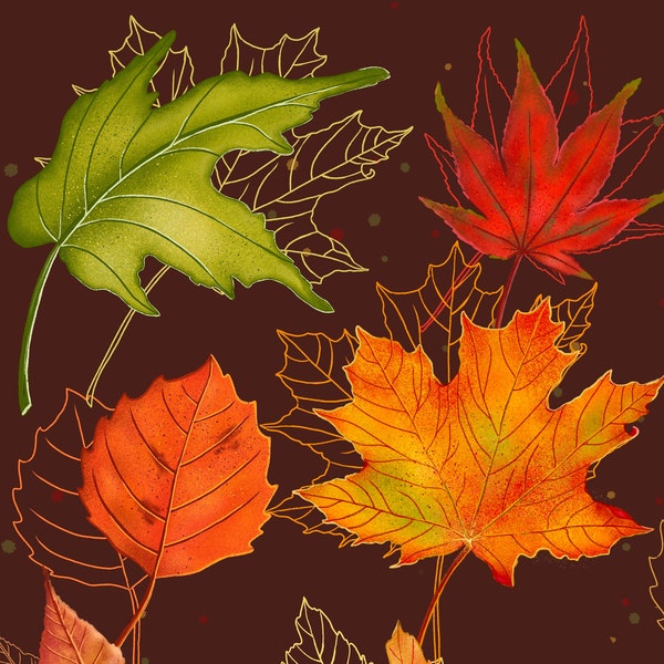 Procreate Brush set of 5 Different Fall Leaves I Autumn Leaves Brush Set