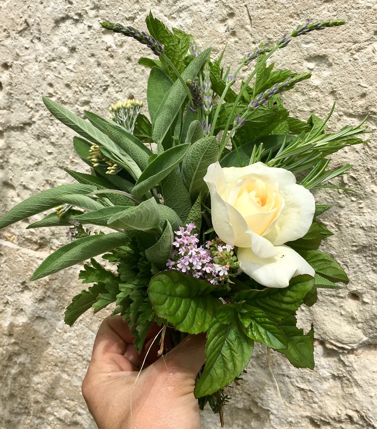 Le Bouquet de L'herboriste