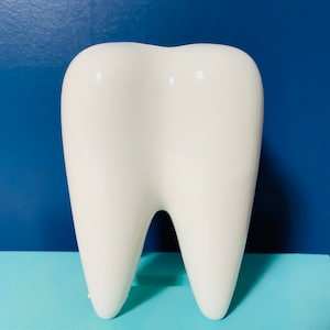 Molar ceramic vase dentist gift dental nurse gifts vases teeth tooth flower pot succulent novelty office dentists penpot home homeware
