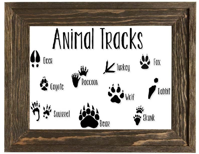 Download Animal tracks sign svg pdf printable for nursery or kids | Etsy