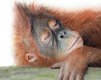 Orangutan Art Gift, Sleeping Orangutan Art Print, Watercolor Orangutan Print, Jungle Animals Nursery Decor, Nursery art, Orangutan painting