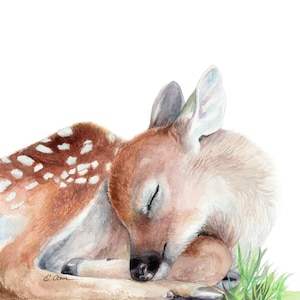 Baby Deer Gift, Sleeping Baby Deer Art Print, Watercolor Fawn Print, Woodland Animals Nursery Decor, Nursery Wall Art, Watercolor Deer print